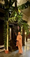 Jalabhisheka and Arati at HH Shrimat Parijnanashram Swamiji II Sannidhih (27 Sep 2024)
